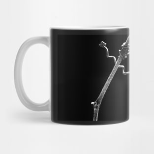 Nature's Abstract ~ The Javelin Thrower Mug